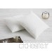 Textilhome - 2 Coussins de Garnissage en Fibre creure - 100% Polyester - Blanc - Dimension 45x45 cm. - B07CBJLXKM